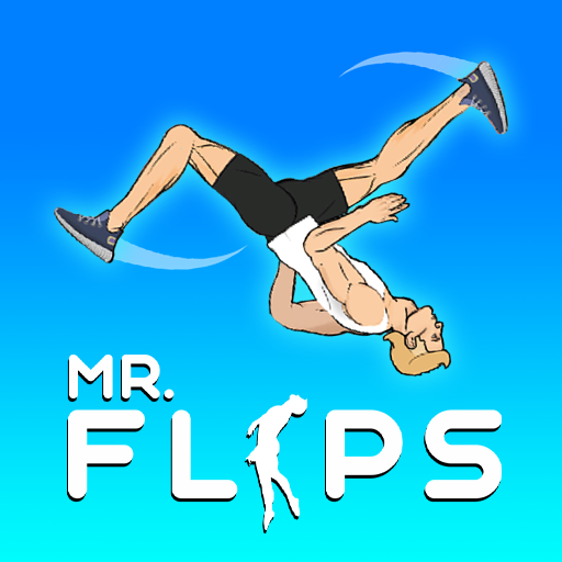 Mr Flip Game Cover
